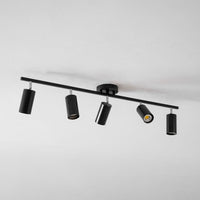 Evanna Ceiling Light