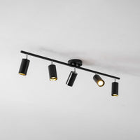 Evanna Ceiling Light