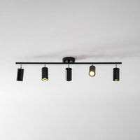 Evanna Ceiling Light