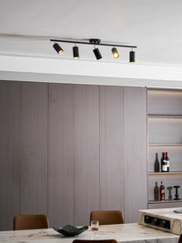 Evanna Ceiling Light