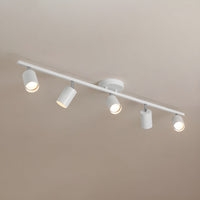 Evanna Ceiling Light