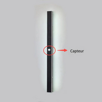 Applique Murale LED Extérieure Minimaliste