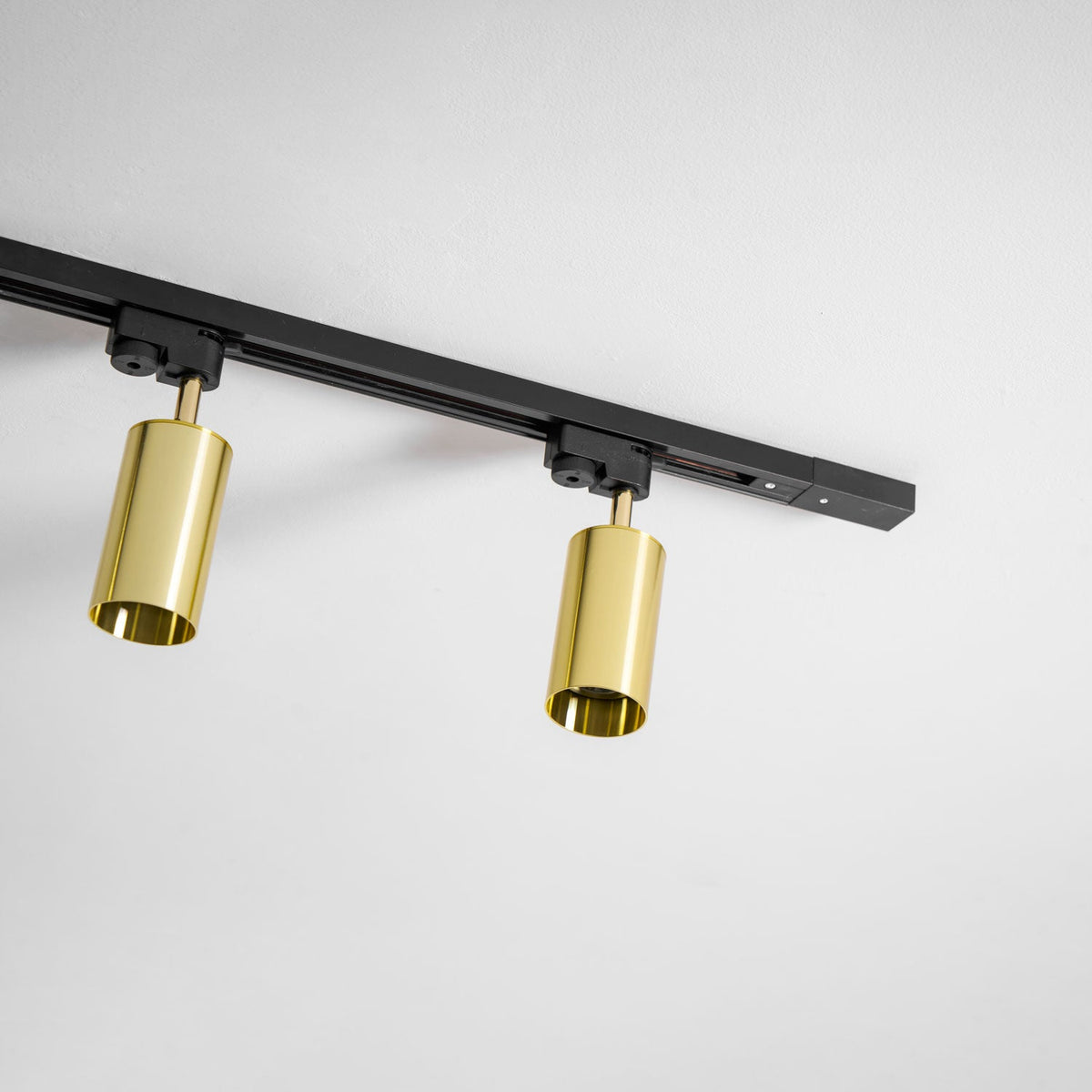Gilded Rail Track Light