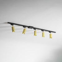 Gilded Rail Track Light
