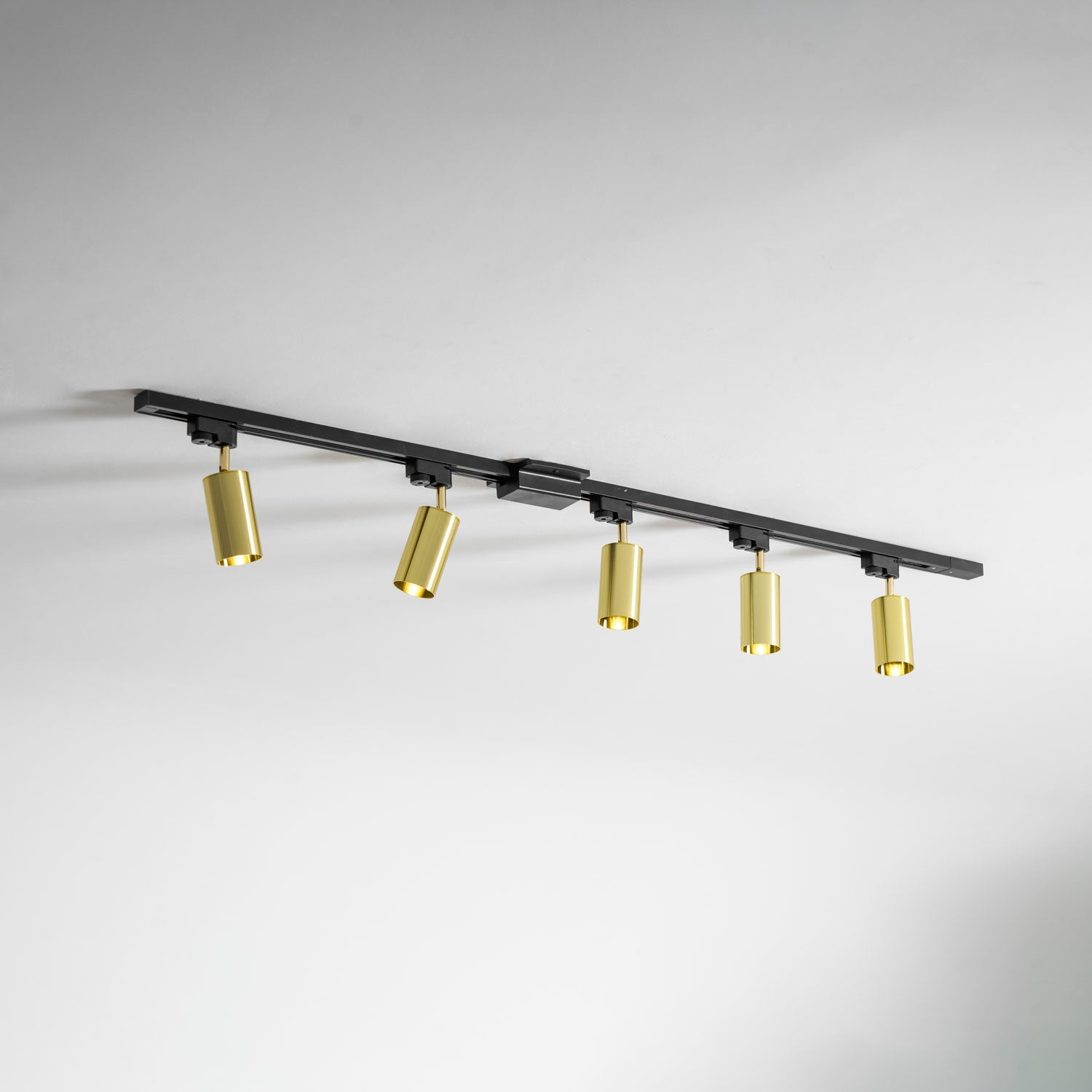 Gilded Rail Track Light