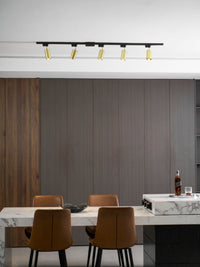 Gilded Rail Track Light