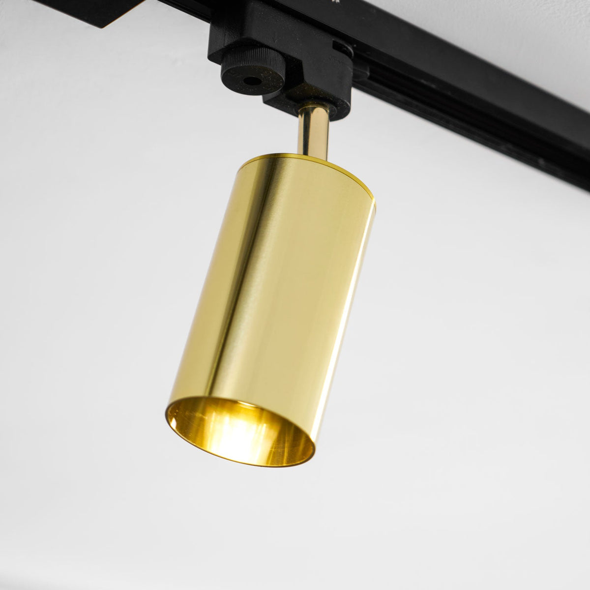 Gilded Rail Track Light