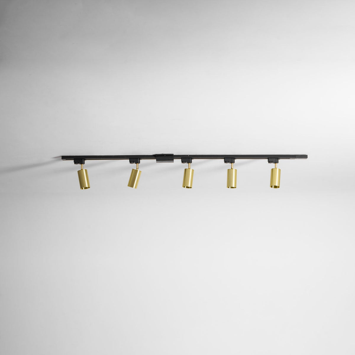 Gilded Rail Track Light