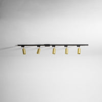 Gilded Rail Track Light