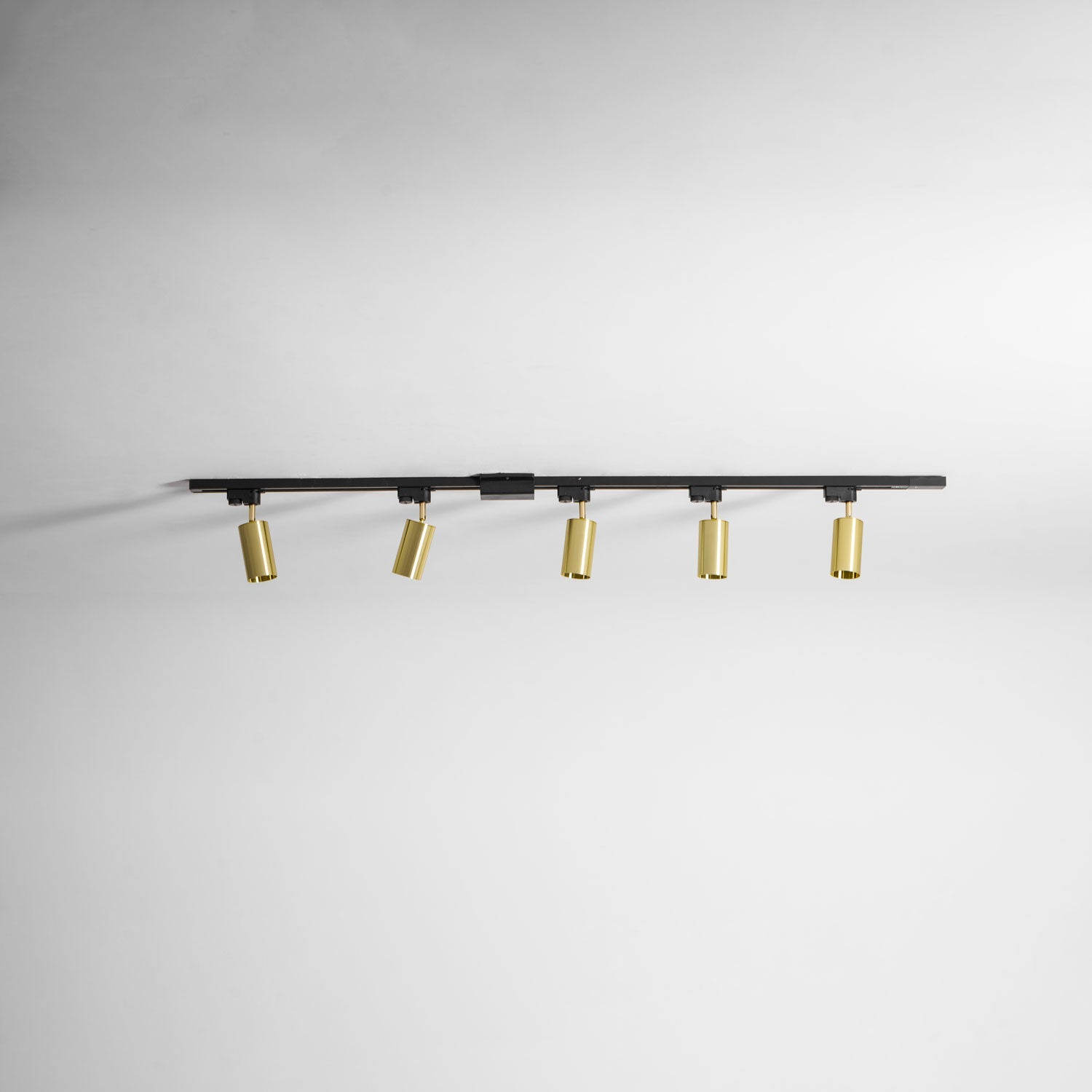 Gilded Rail Track Light