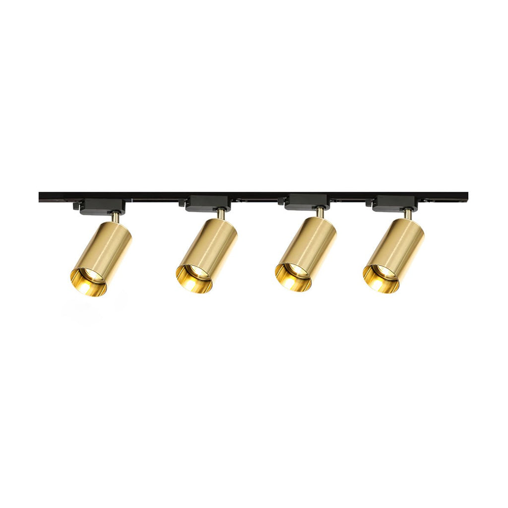 Gilded Rail Track Light