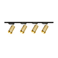 Gilded Rail Track Light
