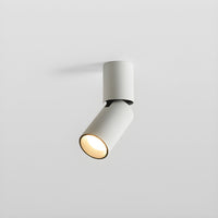 Julian Adjustable Surface Downlight