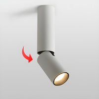 Julian Adjustable Surface Downlight