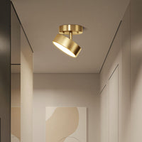 Hero Rotating Ceiling Lamp
