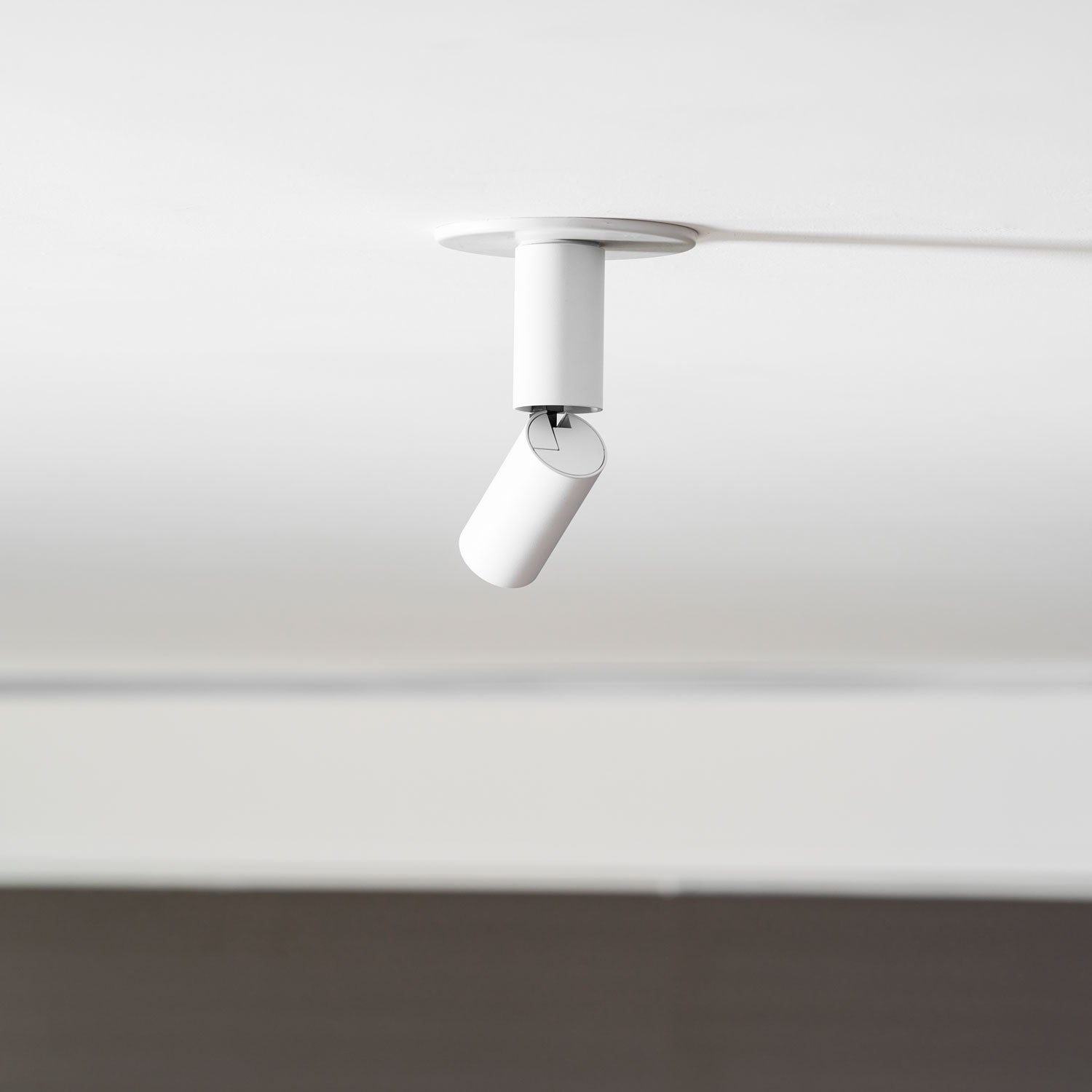 Julian Adjustable Surface Downlight
