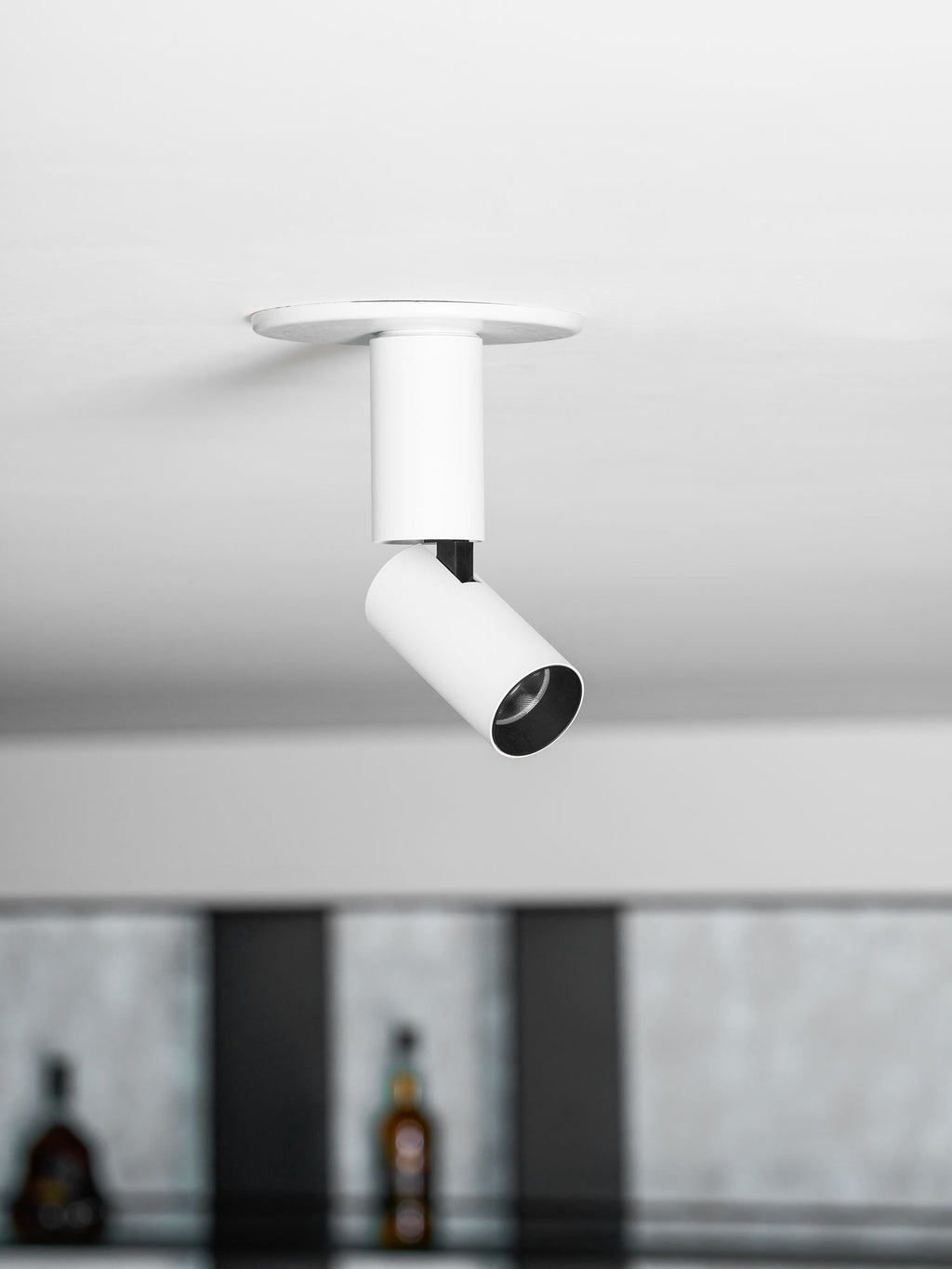 Julian Adjustable Surface Downlight