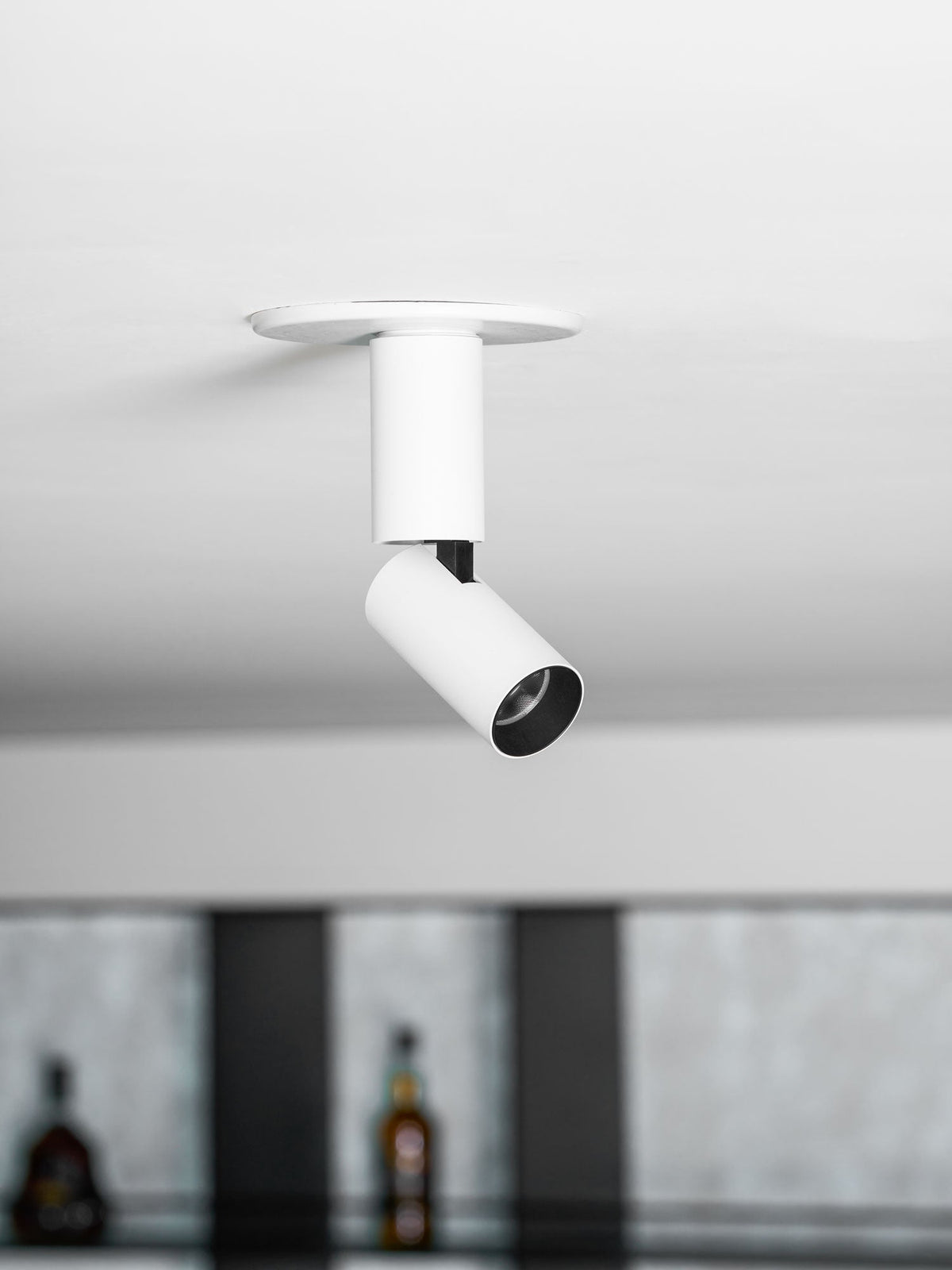 Julian Adjustable Surface Downlight