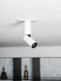 Julian Adjustable Surface Downlight