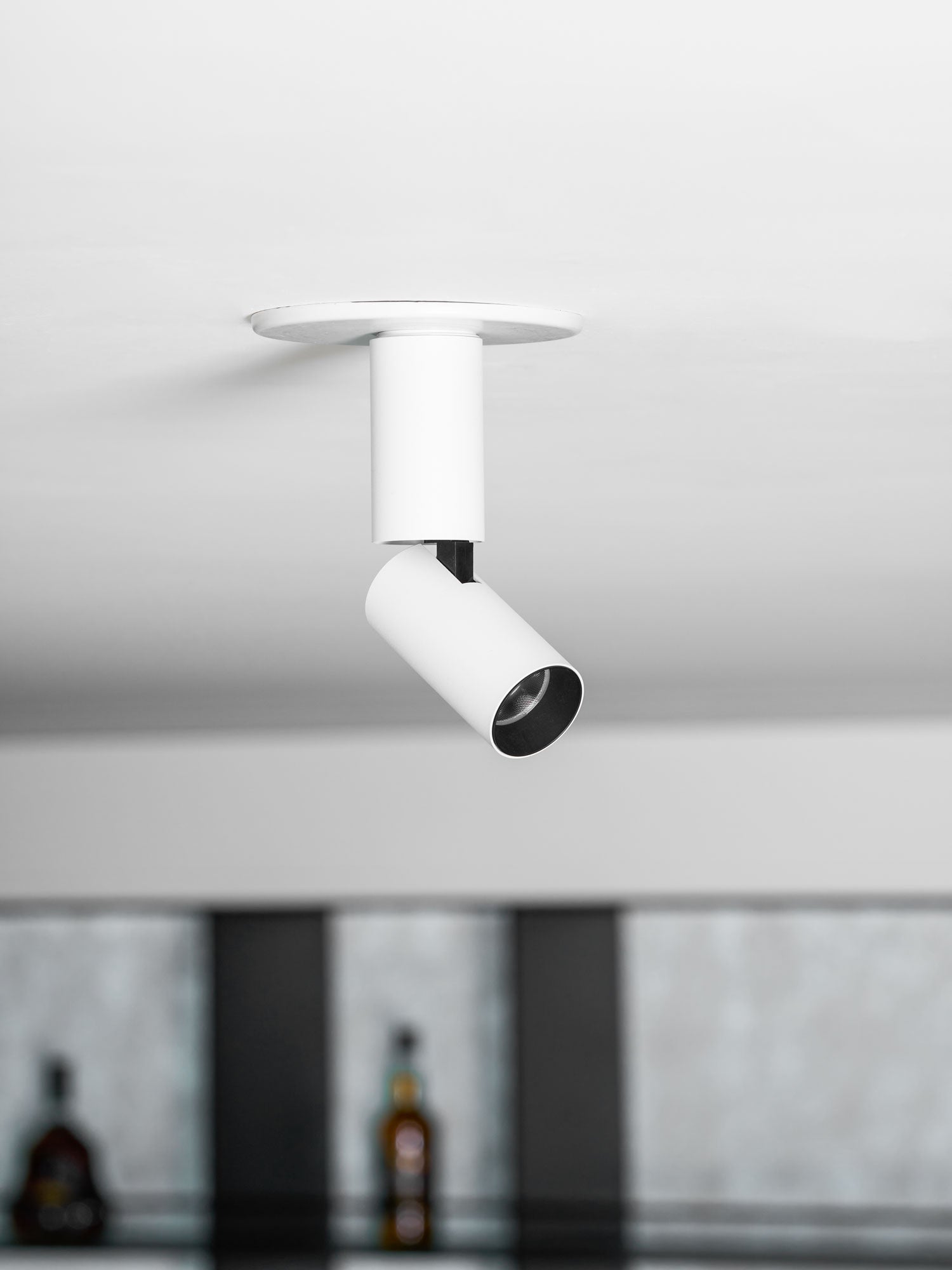 Julian Adjustable Surface Downlight
