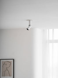 Julian Adjustable Surface Downlight
