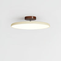 Drift Adjustable Ceiling Lamp