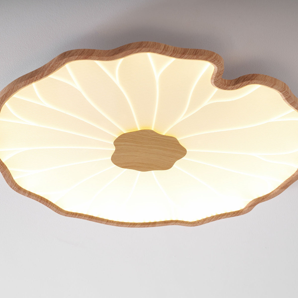 Lotus Leaf Acrylic Ceiling Lamp