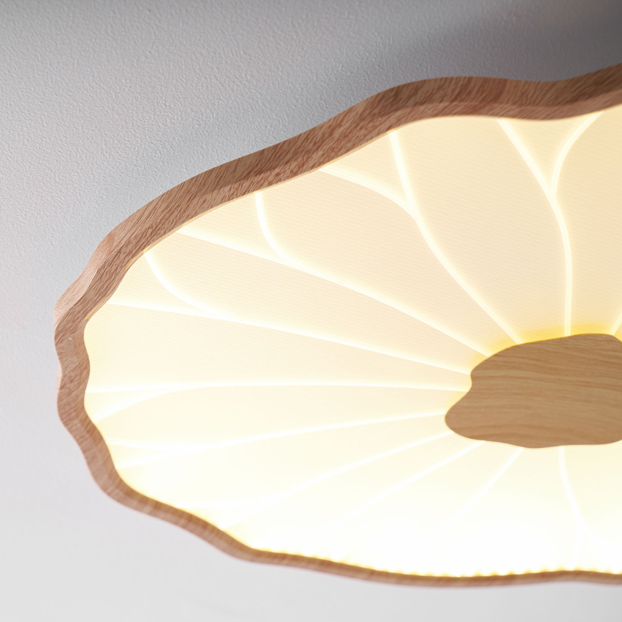 Lotus Leaf Acrylic Ceiling Lamp