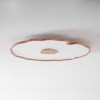 Lotus Leaf Acrylic Ceiling Lamp