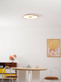 Lotus Leaf Acrylic Ceiling Lamp