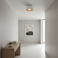 Lumosphere Ceiling Light