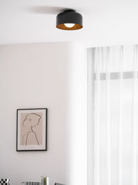 Lumosphere Ceiling Light