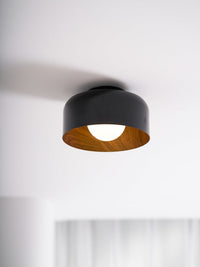 Lumosphere Ceiling Light