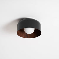 Lumosphere Ceiling Light