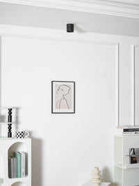 Modupoint Ceiling Light