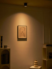 Modupoint Ceiling Light