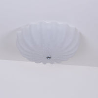 Blown Glass Ceiling Light