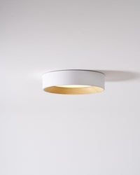 Oreen Ceiling Lamp