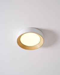 Oreen Ceiling Lamp