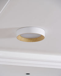 Oreen Ceiling Lamp