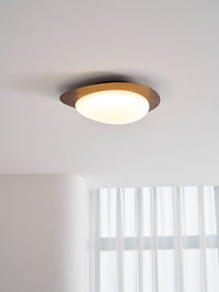 Pebble Metal Ceiling Light