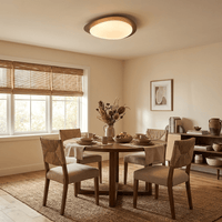 Pebble Metal Ceiling Light