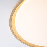 Aureum Edge Ceiling Light