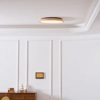 Aureum Edge Ceiling Light