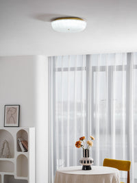 Ripple Glass Ceiling Light