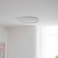 Ripple Halo Ceiling Light