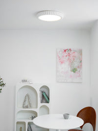 Ripple Halo Ceiling Light