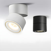 Rotatable Spotlight Ceiling Light