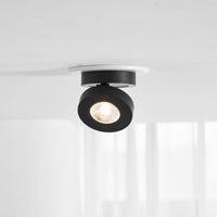 Round Rotating LED Downlight