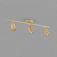 Rowan Ceiling Light